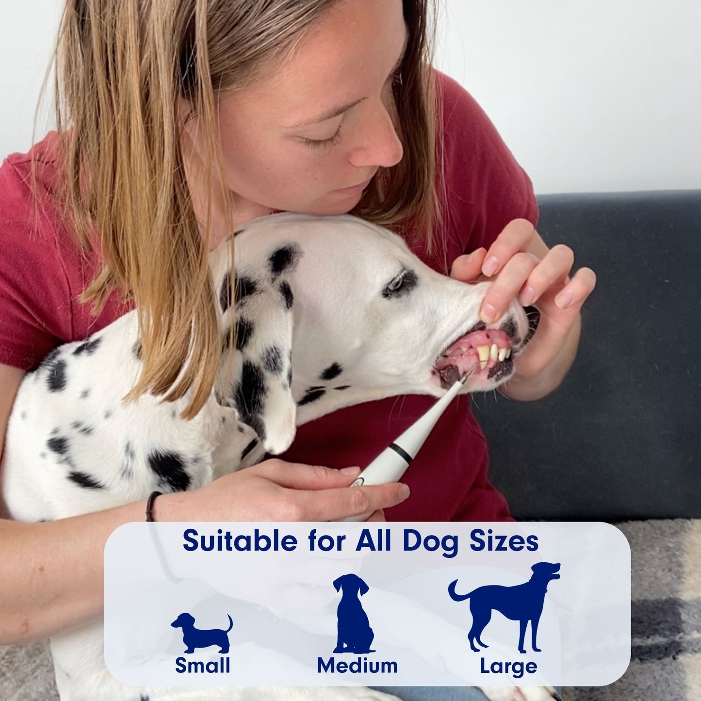 CaniLab - Dental Scaler for dogs