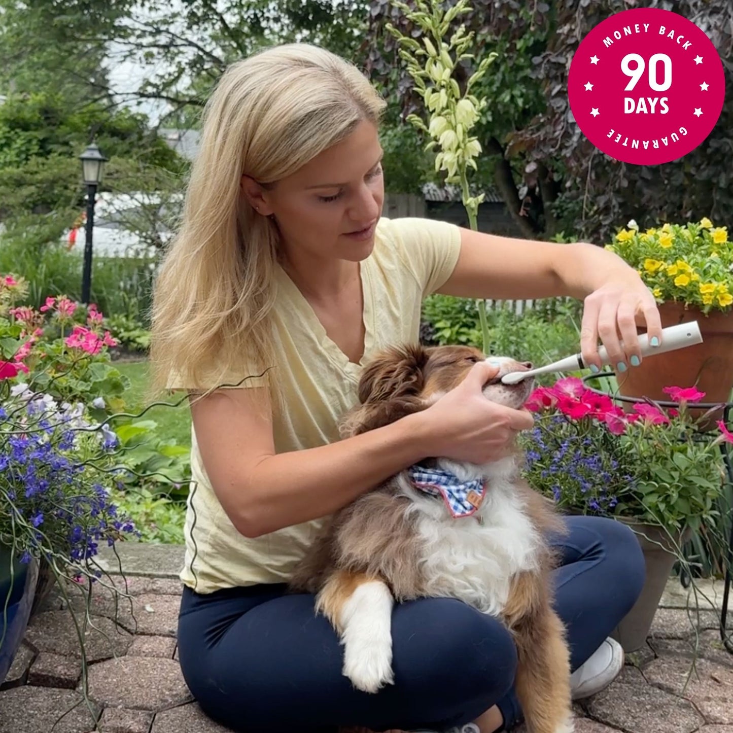 CaniLab - Dental Scaler for dogs