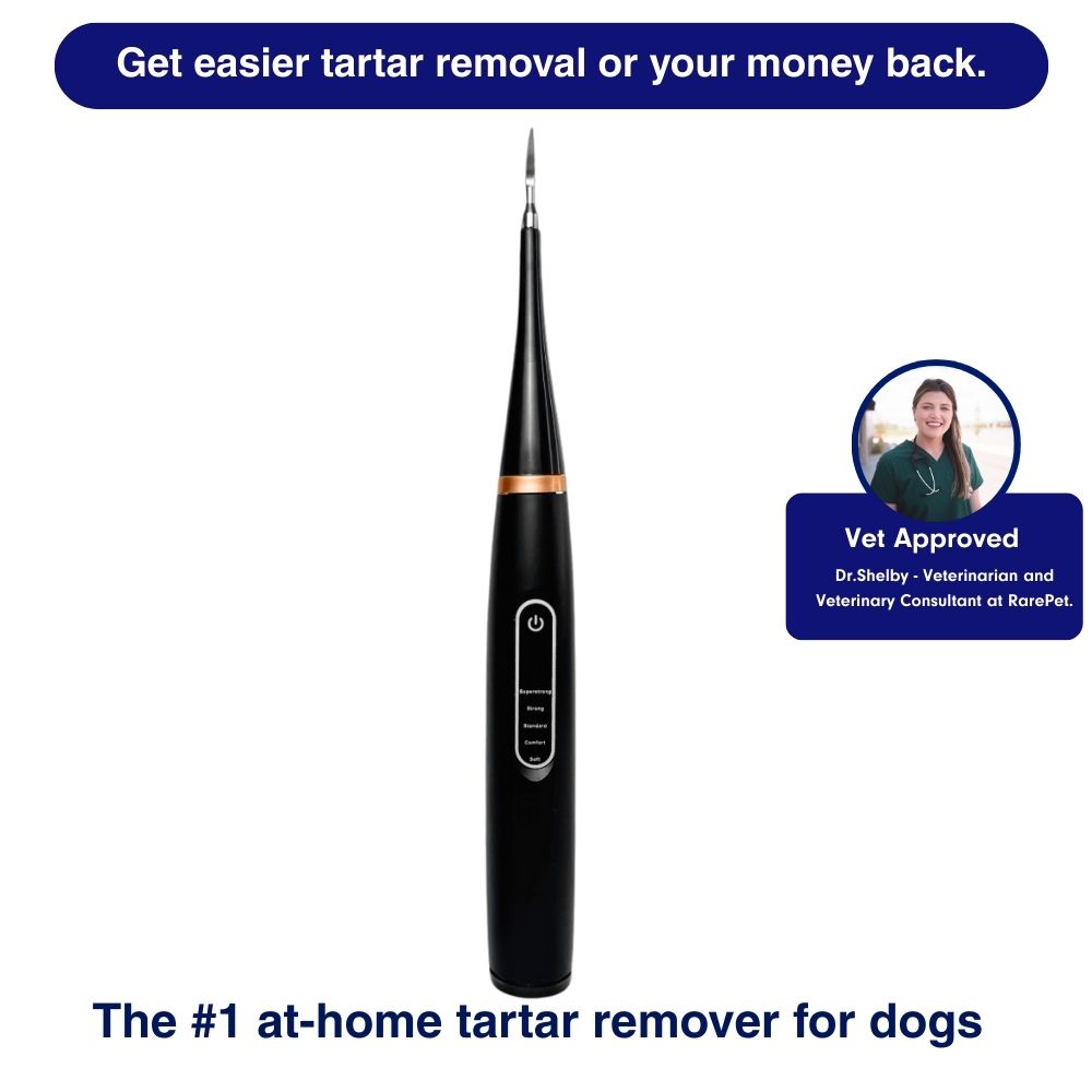 CaniLab Kit - Sonic plaque & tartar remover for dogs