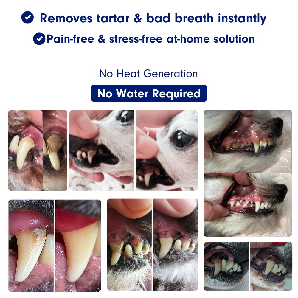 CaniLab Kit - Sonic plaque & tartar remover for dogs