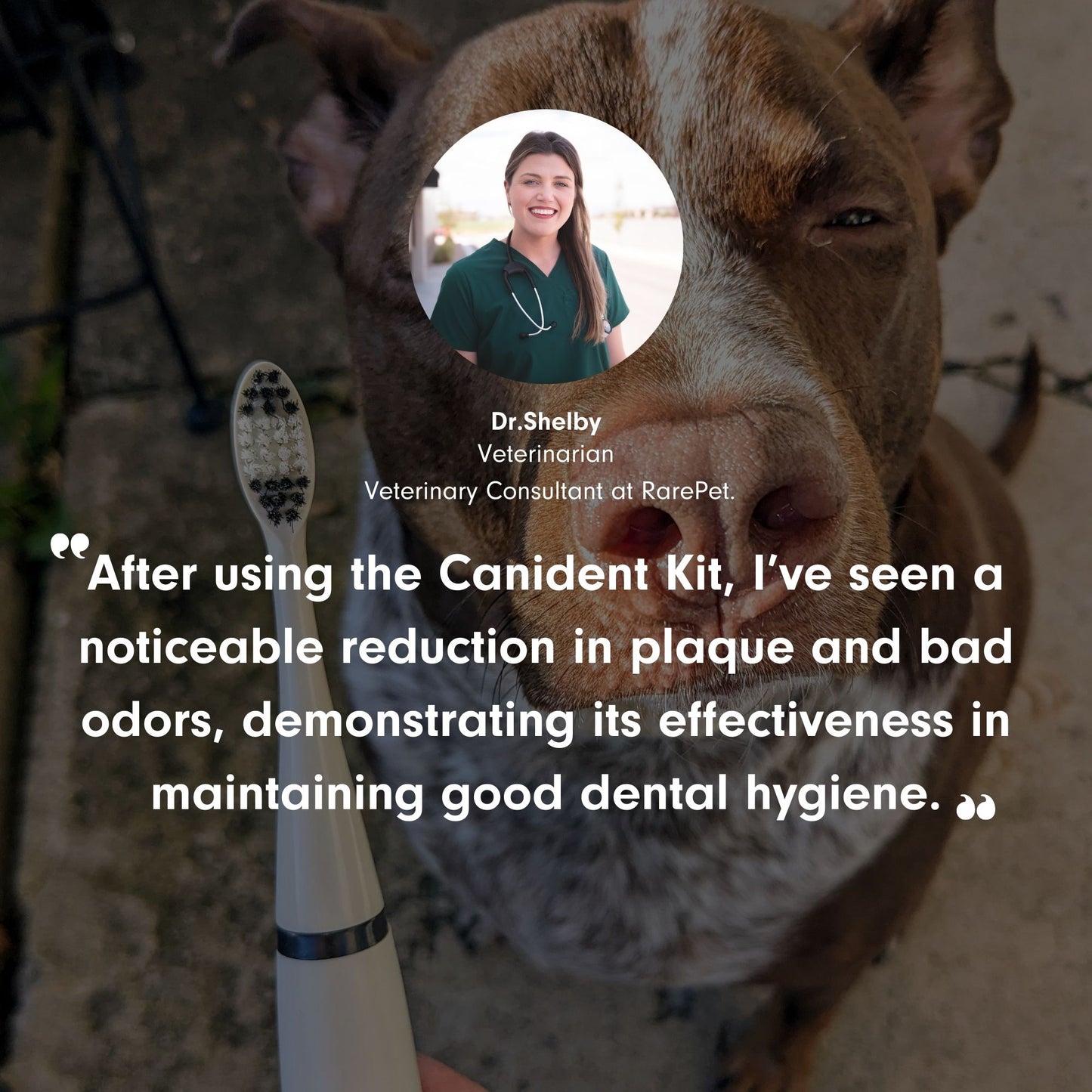 CaniLab - Dental Scaler for dogs