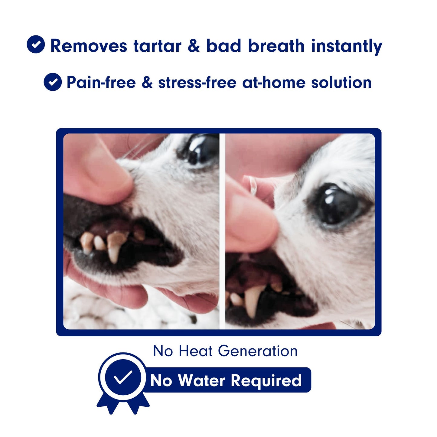 CaniLab - Dental Scaler for dogs