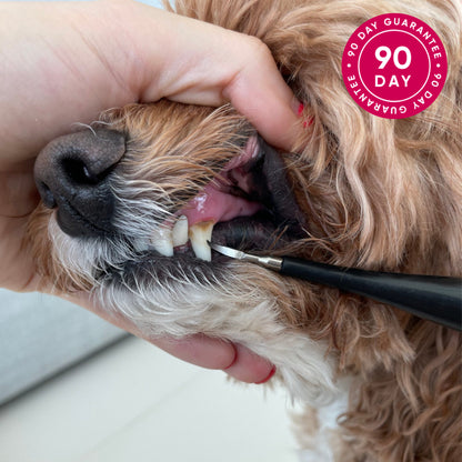 CaniLab - Dental Scaler for dogs